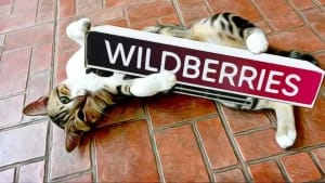 Парсинг Wildberries